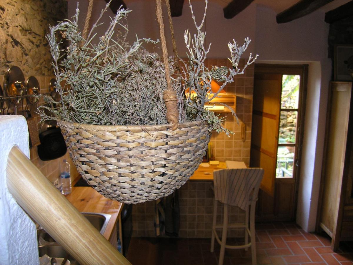 Cal Joanet, acollidora caseta a Gratallops Esterno foto